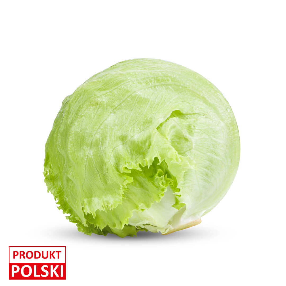 Salata lodowa. 8,20 zl/szt.