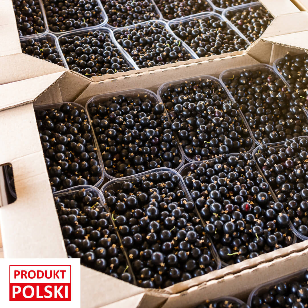 Porzeczka czarna - paletka 10x500g. 22,90 zl/kg